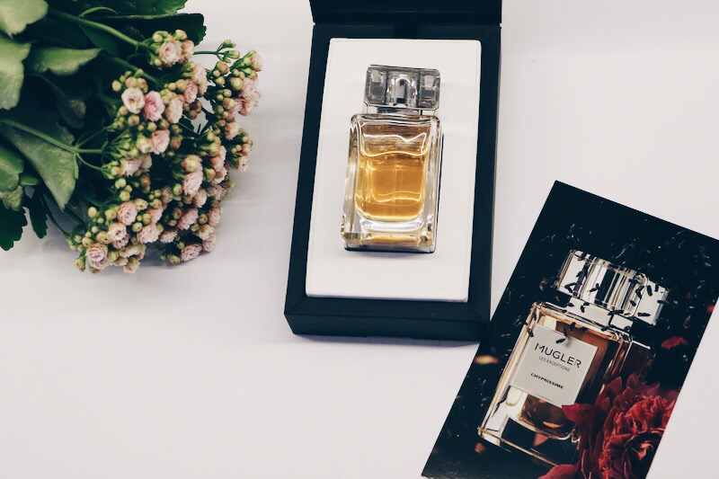 Processed with VSCO with hb1 preset